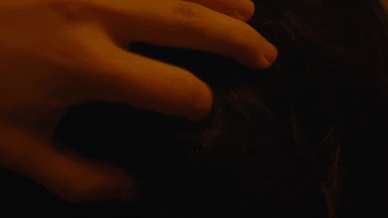 FRK_50Compression_005